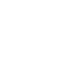 ZL